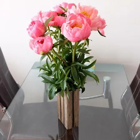 Apartament Miejski
